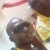 ajani ayodeji 