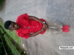 Don fabric