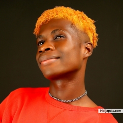Elvis Awowari (UAB Elviswap) : Website designer in Port Harcourt