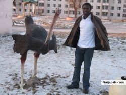 kuye ibrahim akinyel