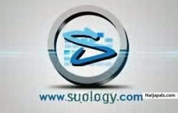 lie by suology