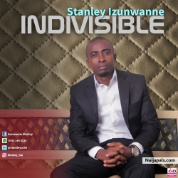 Indivisible by Stanley Izunwanne