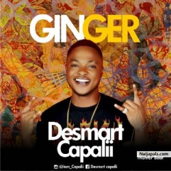 ginger by DesMart CapaLii