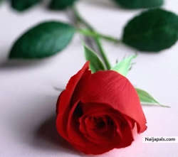 My Picture