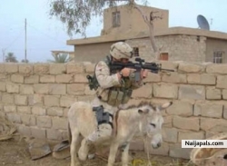 real good fucking marine