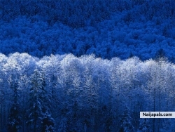 Winters prepares you for Love space.