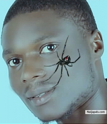 vic iyke