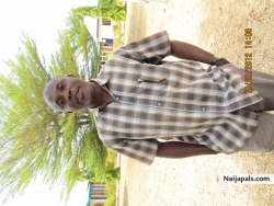 usman shehu usman
