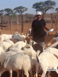 Farming is lucrative