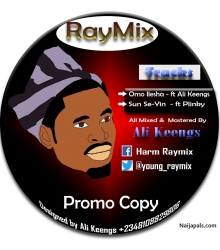RayMix ft Plinky - Sun Se-Yin (Prod. by Ali Keengs) by RayMix