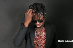 Artist hip pop singer 