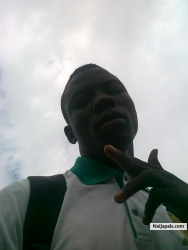 segzy (industrialmark)