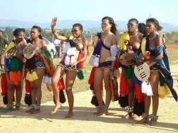 At d CANES FESTIVAL, SA