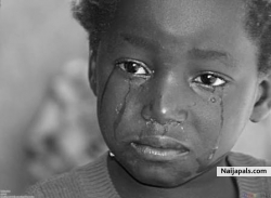 Children Of the World by Alianza    