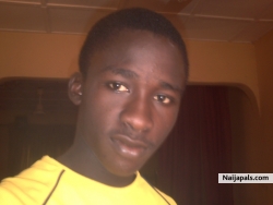 Vicktor David (perryshell)