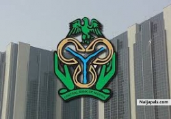 Fidelis (NigeriaLoan)