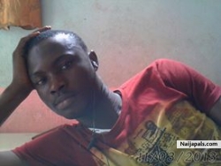 timi kelvin
