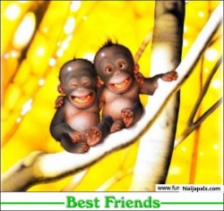 best friends
