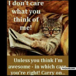 wot do u fink