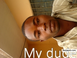 dammy (damming)