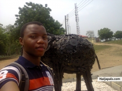 Bello Ibrahim Kolade (Ibbells)