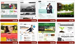 Affordable website designing & hosting starting @ $9.00 or Ghc14.00 per month