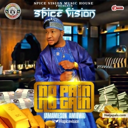 NO PAIN NO GAIN by SPICE VISION