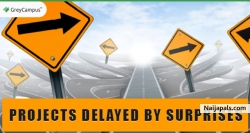 There are many reasons for a Project to get delayed. Know the reasons of why Projects get delayed in the following link:  http://www.greycampus.com/blog/project-delayed-by-surprises