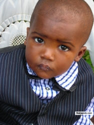 LordSibeno (LordSibeno)