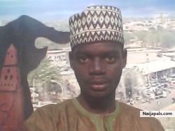 usman dan asabe