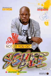 Not let you go by Sgzee