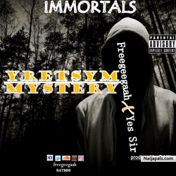 Mystery by Freegeegaah x Ontime Righttime