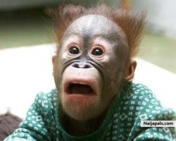 As a baby