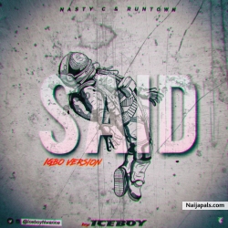 Said (Igbo version) by Nasty C, Runtown  & Iceboy