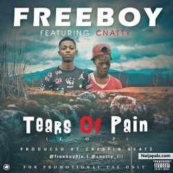 Tears Of Pain by Freeboy Feat. C Natty