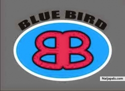 Bluebird