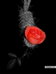 love is one united
