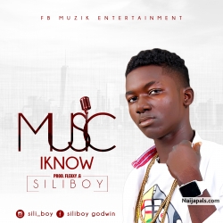 MUSIC I KNOW by SILIBOY