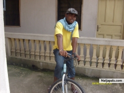 bikin daredevil