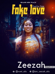 Fake love by Zeezah