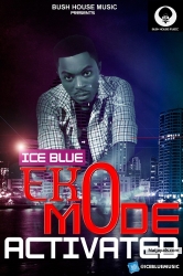 ice blue of d.i.y