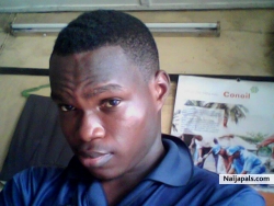 wale dami (whalesd)