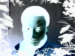 The underworld vampire