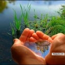 there are things natural about life.....study wise from overseas and make use of it to great and strenghting our states and community