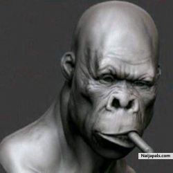 DON PIERROZZY (PIERROZZY)