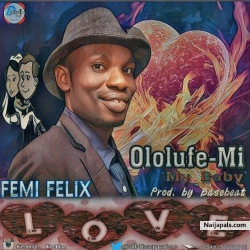 Ololufe Mi My Baby by Femi Felix
