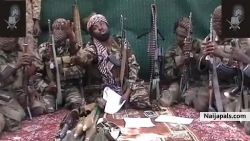 To Abubakar Shekau (Boko Haram Leader) Claiming to be A Muslim and The Nigerian Govt… From: Alutrot… (A naijapals.com Member) I urge everyone to Keep sharing this and Posting it till it gets to Our Leaders and The Media. I am a Muslim and with My Little Knowledge of the Holy Qur’an, I have this message for the terrorist agonizing our country all in the name of religion. We’ve read and watched your purported video in which you claimed : 1. Allah ordered you to kill and drink christian, and infidels blood, including all muslims who are against you. MAY BE THERE IS ANOTHER QURAN YOU PEOPLE READ THAT SAYS U SHOULD DRINK BLOOD. To eat the blood of an animal is prohibited in Islam let alone human blood! MUSLIMS DNT BELIEVE IN VISION! 2. That ALLAH ordered you to marry daughters of parents off against their wish! MAY BE YOU DIDN’T READ IN THE QURAN, AND READ FROM MUHAMMAD’S WORDS THAT YOU CAN NOT MARRY YOUR OWN DAUGHTER OFF AGAINST HER WISH/CONSENT, LET ALONE ANOTHER MAN’S DAUGHTER. 3. You threaten to sell those girls. That’s quite outrageous MAY BE YOU DID NOT KNOW THAT ISLAM DENOUNCES SLAVERY, DIDN’T YOU READ THE LIFE OF THE SAHABAS AND MUHAMMAD BUYING SLAVES FROM THEIR MASTERS WITH HUGE MONEY AND AFTERWARD, SET THEM FREE? 4.You said “Western education is Haram?” YOU DIDN’T READ AN HADITH CREDITED TO MUHAMMAD (S.A.W) WHICH SAYS: “SEEK KNOWLEDGE EVEN IF IT IS IN CHINA YOU FIND IT” (Perhaps you don’t know China was not within the Arabian Country, That is the importance of seeking knowledge) 5. You said you detest living with Christains. MAY BE YOU DID NOT READ ‘SIRAH NABIYYI’ THAT MUHAMMAD (S.A.W) LIVED WITH CHRISTAINS AND PAGANS PEACEFULLY. All these and other jargons you have said potray you as FAKE and someone on a certain mission. MISSION to TARNISH THE IMAGE OF MUSLIMS AND ISLAM. Because if it is this same Quran you are reading, then you are disobedient to the God you claim you serve. Your mission is just to make Islam look UNATTRACTIVE, EVIL, and DEVLISH! I quite understand the politics in the world and alot of propaganda and conspiracy against Islam just because it abhors every forms of immorality. True Muslims know that you BOKO HARAM and other ‘terrorist’ group in the world are either a phantom organisation or creation of an intelligent section of some group of people! We know this but how many innocent people will you kill to achieve your objectives?. You are quite in-expert because all your actions contradict the True message of Islam. I watched “those girls” reciting suratul Fatiah in your newly Released ‘Film’ because I know you are acting on a script, we are expecting a new scene… wait a minute, what message are you sending to the world with that? How Come they become masters of suratul Fatiah Under such condition; under Duress; in the bush; within how many weeks? Even if it be the bible that is written in English language, it will take Morethan 4 weeks to master some verses in it as memory verse, Not to talk of reading Arabic Language just like that. Oh, see them dress well and sit comfortable in the bush? You did that to win muslims empathy, or to justify your mission? Oh, you missed it! We are wise now. How do you people manage to record those ‘Films’ and circulate it to media houses, without them and our SSS tracing you since? You’ve been enjoying good internet and stable network in that FOREST You and Our Government claim you are, while me living in a State Capital can’t even browse ordinary facebook for 5minutes without complaining of network problem yet you can upload 58minutes video on Youtube without network “ish” or bandwith problem. 58 good minutes! Yet no one can find you. If Truly You are Muslims: Haven’t you read the following verses of the Qur’an? 1. Suratul Baqarah Q2vs256: Let there be no compulsion in religion: Truth stands out clear from Error: whoever rejects evil hath grasped the most trustworthy hand-hold. 2. Suratul Kafirun, Q109vs6 To you be your Religion, and to me mine.” 3. Suratul Yunus Q.10vs99 If it had been thy Lord’s will, they would all have bel