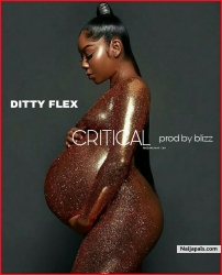 CRITICAL by DITTY FLEX