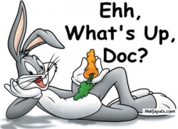 Whats up doc
