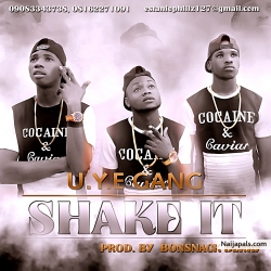 shake it by U.Y.E GANG